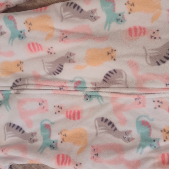 sleeper - Picture 2 of 2